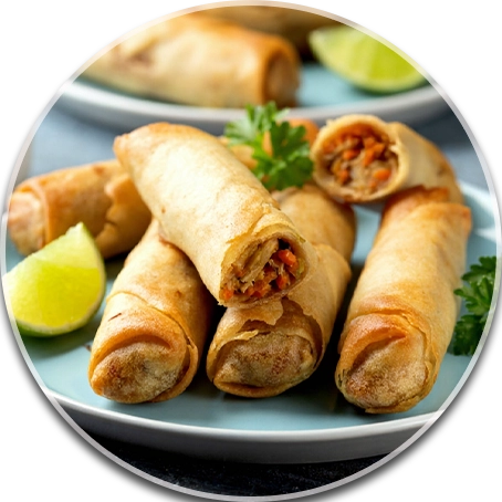 SPRING ROLL